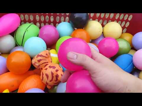 The Fun of Playing Colorful Ball Toss Together