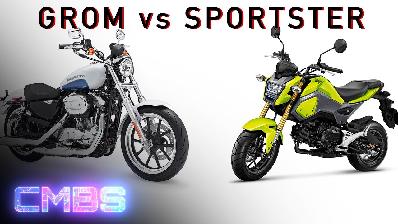 Grom vs Sportster! MotoVlog YouTube