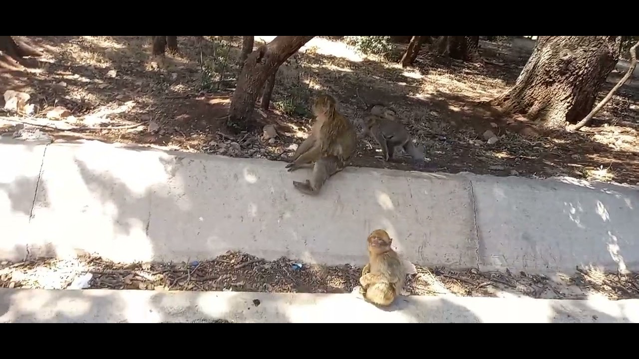 جولة في افران جولة في افران