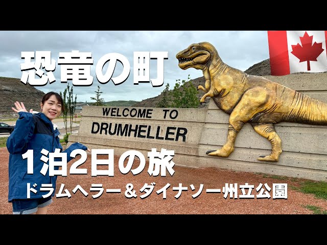 洋書〉黄金の巨人：ヘムロとカナダのゴルードラッシュ／マシュー