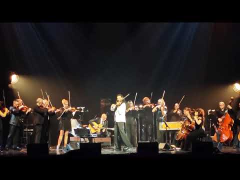 Putar Happy Birthday - Nemanja Radulovic