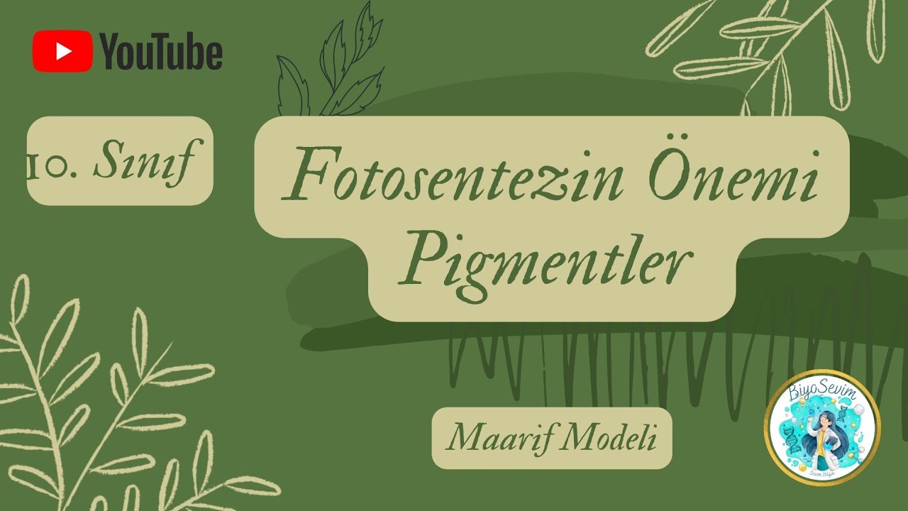 2) 10.SINIF BİYOLOJİ - FOTOSENTEZİN ÖNEMİ ve PİGMENTLER