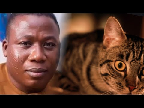 MYSTERY BEHIND ARRESTED CAT THEY BELIEVED SUNDAY IGBOHO TURNS TO DURING INVASION OF HIS HOUSE