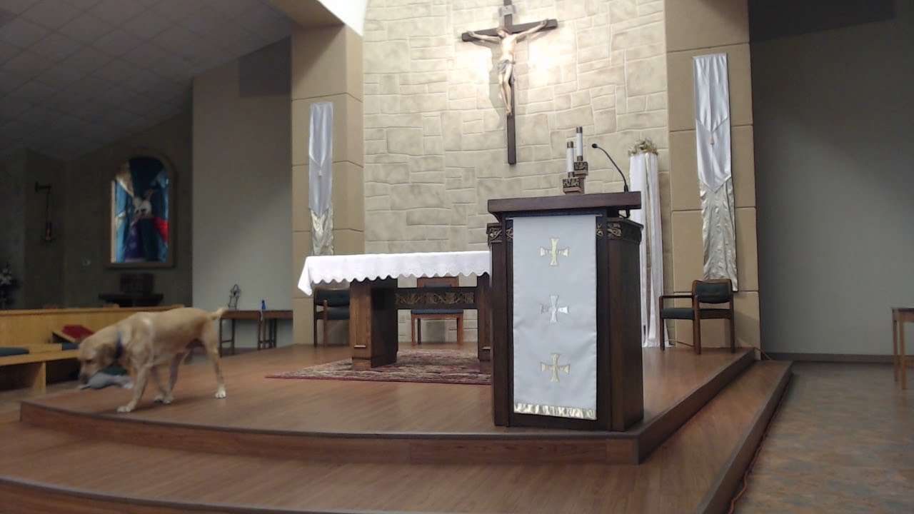 The Holy Mass for the 11th Week of Ordinary Time - YouTube