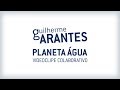Guilherme Arantes - Planeta Água (videoclipe colaborativo)