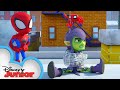 Spidey Surprise | Marvel's Spidey and his Amazing Friends | @Disney Junior  @Marvel HQ