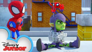 Meet Spidey and his Amazing Friends Short #4 | Spidey Surprise | @disneyjunior @MarvelHQ