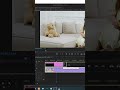 slowly changing Color🙂 Over Time In Premiere Pro | #shorts