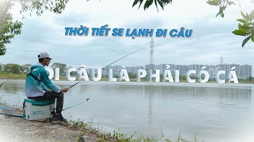 CÂU CÁ MÙA THU HÀ NỘI THÌ CÂU GÌ?