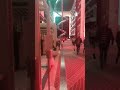 MSC WORLD EUROPA Cruise night view