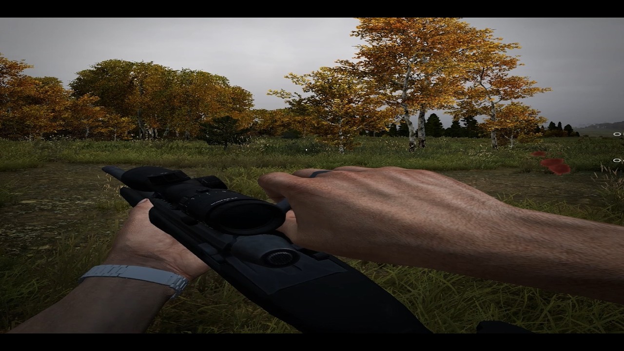 dayz comeback