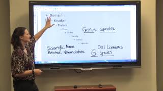 Classification & Binomial Nomenclature