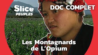 Laos : Cultiver le Pavot pour Faire de l'Opium | SLICE PEUPLES | DOC COMPLET
