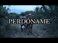 Isaac Martínez - Perdóname (VIDEO OFICIAL)