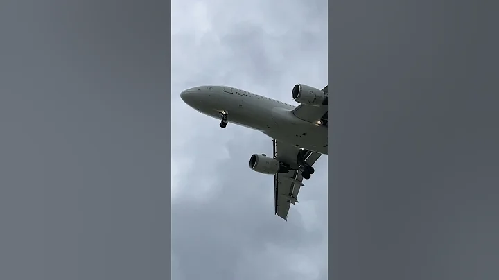 LUFTHANSA A320 Munich 🇩🇪 #shorts #aviation #planespotting #airport #fra #landing #frankfurt