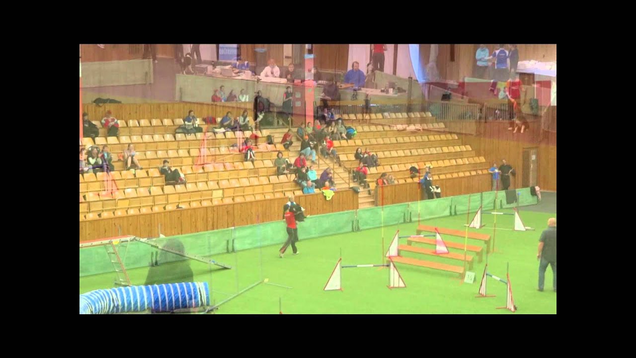 Lisa & Hoss: Kladno 1.-2.12. 2012