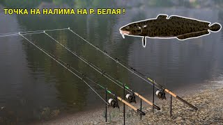 ТОЧКА НА НАЛИМА НА РЕЧКЕ БЕЛАЯ! КЛЮНУЛА СТЕРЛЯДЬ НА СДАЧУ!