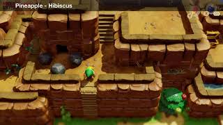 Links Awakening - Trade Quest (Hibiscus)