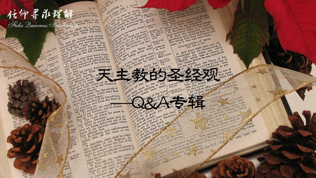 心之所问，神父解答 | 天主教的圣经观 Q&A专辑