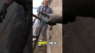 Boat Ladder Discovery: Epic Find! #shorts