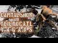 Tliltocatl vagans rehouse and capital show thoughts tarantula tarantulas
