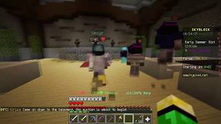 Hypixel Skyblock DARK AUCTION TIMES