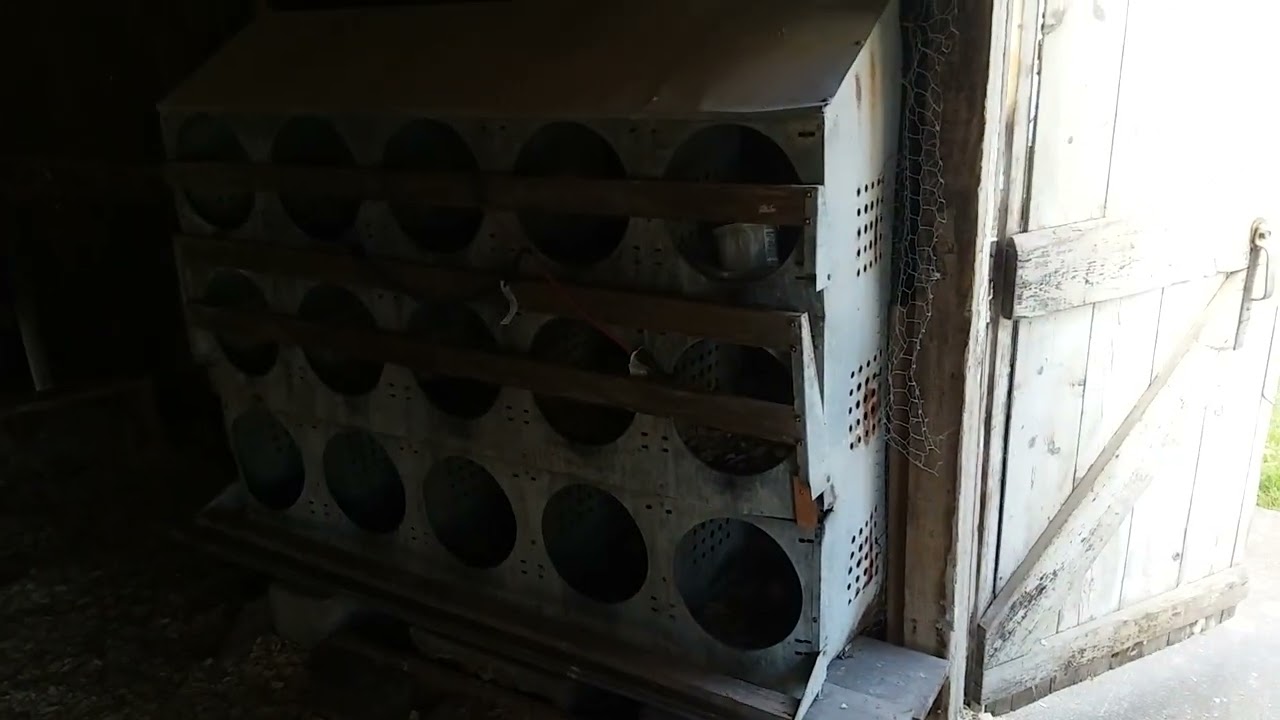 Chicken House/Pen and Run Set Up (Its Basic)