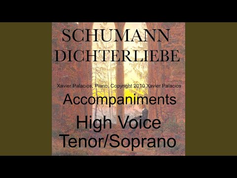Παρακολούθηση XI. Ein jüngling liebt ein Mâdchen in D Major στο YouTube