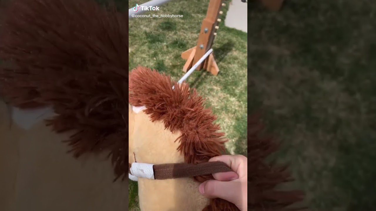 Hobby horse Tik Tok part1 *kht_uran* YouTube