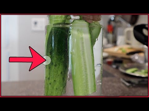 Esto pasa después de 2 horas | Deja 1 solo <strong>Pepino</strong> en Agua