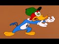 Woody Becomes A Coach | Woody Woodpecker