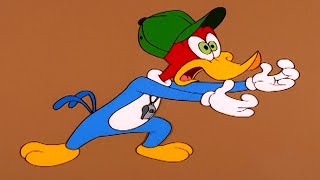 Woody Becomes A Coach | Woody Woodpecker