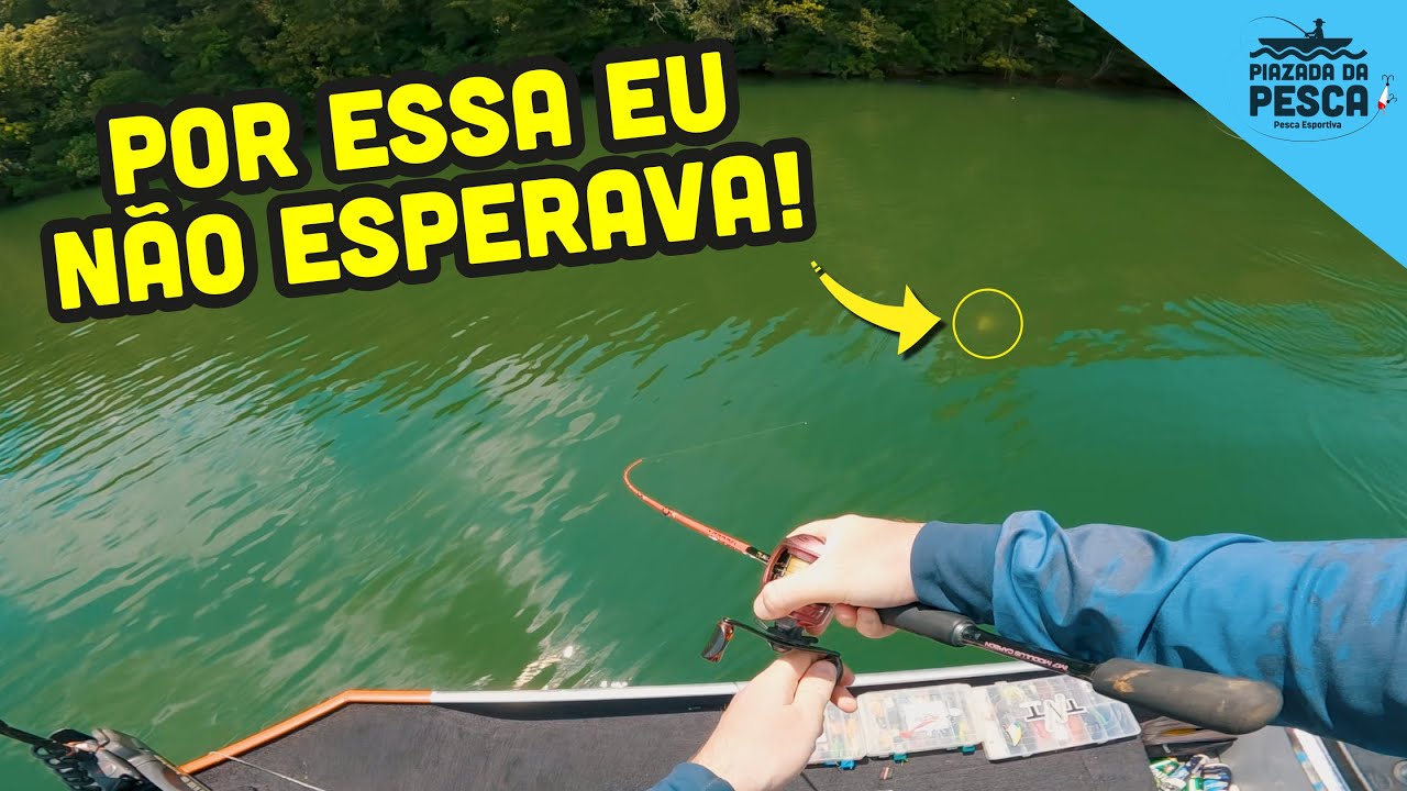 MUITO PEIXE no Passaúna - pescaria com o guia Fabio