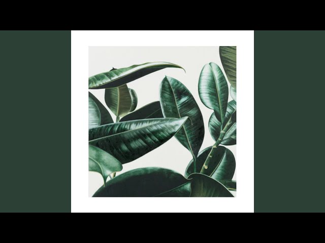 邦楽 POINT OF THE VIEW GREEN ASSASSIN DOLLAR 邦楽 Green Assassin Dollar Point Of The View GREEN ASSASSIN