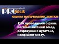 1) Як проводиться оцінка. Загальні питання: огляд, розрахунок в аудатекс, коефіцієнт зносу.