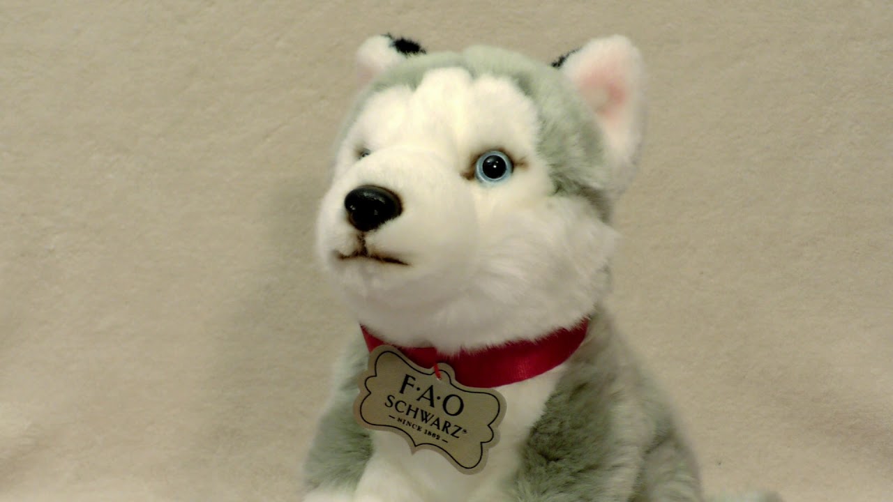 fao schwarz husky