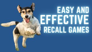 5 Recall Games for Every Dog