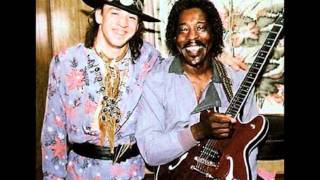 Stevie Ray Vaughan and Buddy Guy-Mary had a little lamb