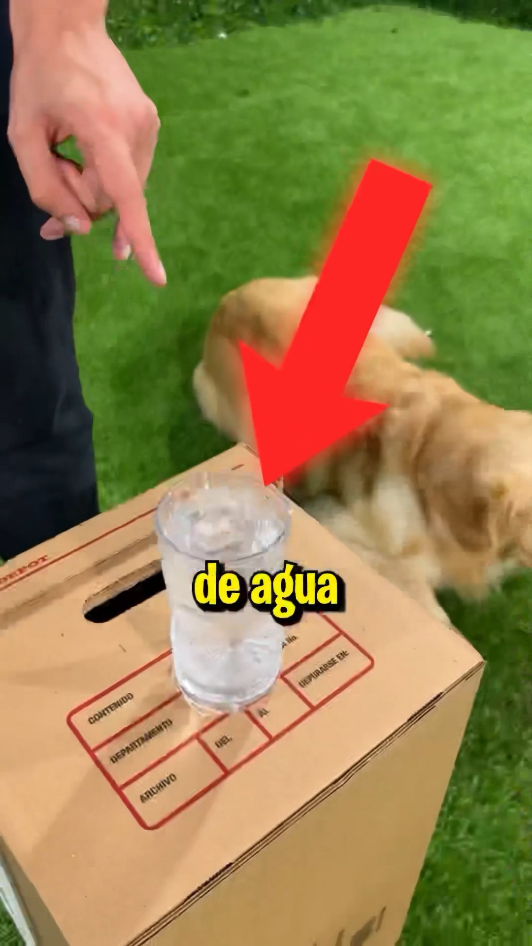 Es IMPOSIBLE TOMARSE este VASO de AGUA !!
