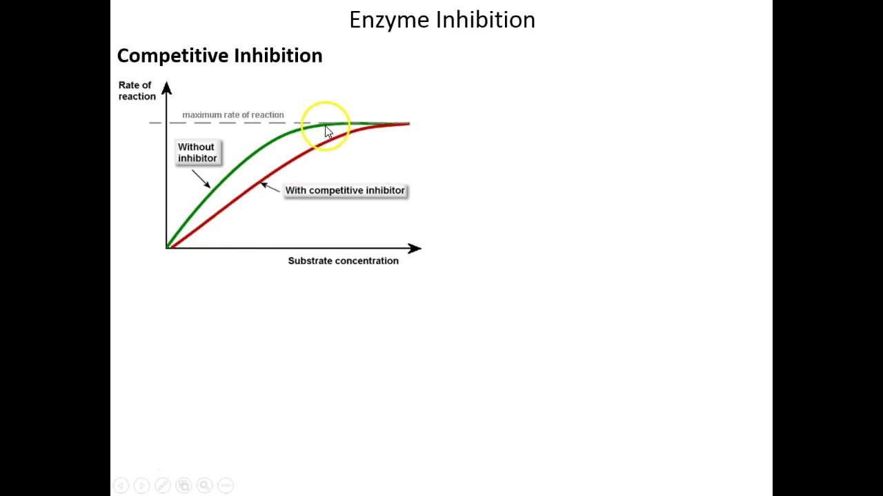 Lecture 5C - Enzyme Inhibition