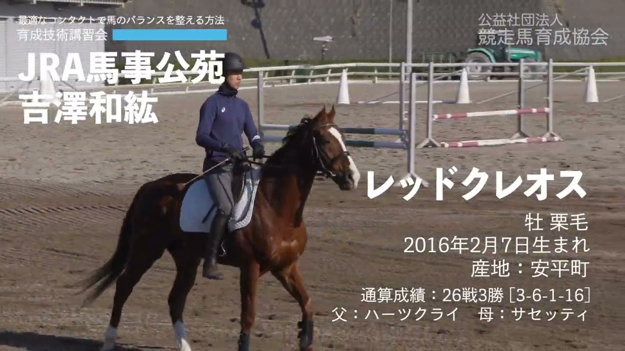 育成技術講習会　「最適なコンタクトで馬のバランスを整える方法」