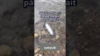 Mjøls Lystfiskeri Rødekro - Lørdag formiddag huggede de på PowerBait - Hele artiklen på sydnyt.dk