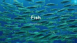 Fish jonkagor