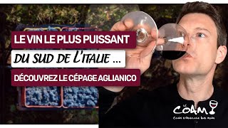 Le Vin Le Plus Puissant Du Sud De Litalie ? Les Secrets De Laglianico