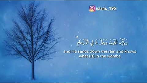 اترك الدنيا جانبآ واستمع القران الكريم بصوت الشيخ اسلام صبحي