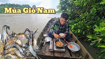 " BẾN TỔ " Câu Trúng Tôm Càng Xanh Mùa Gió Nam |Cần TV 29#