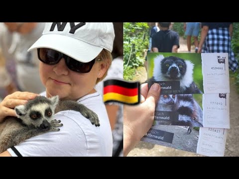 Affenwald - a place where lemurs are nearby! Our family vlog \ farm girl's blog