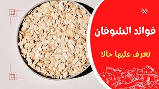 تعرف على فوائد الشوفان وبعض أضراره