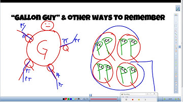 Converting Customary Units of Capacity