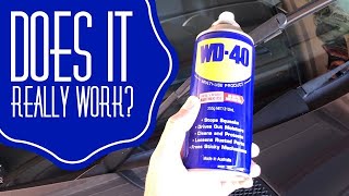 WD40 Hack on Wiper Blades!  Does it really work? screenshot 4